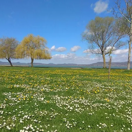 Kiera Balatonboglár